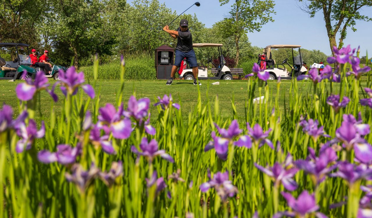 A golfer takes a swing on a golf course in front of a foreground filled with purple flowers.