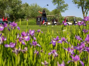 A golfer takes a swing on a golf course in front of a foreground filled with purple flowers.