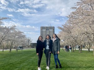 Three students stand in front of Brock’s Schmon Tower with cherry blossom trees in bloom on either side.