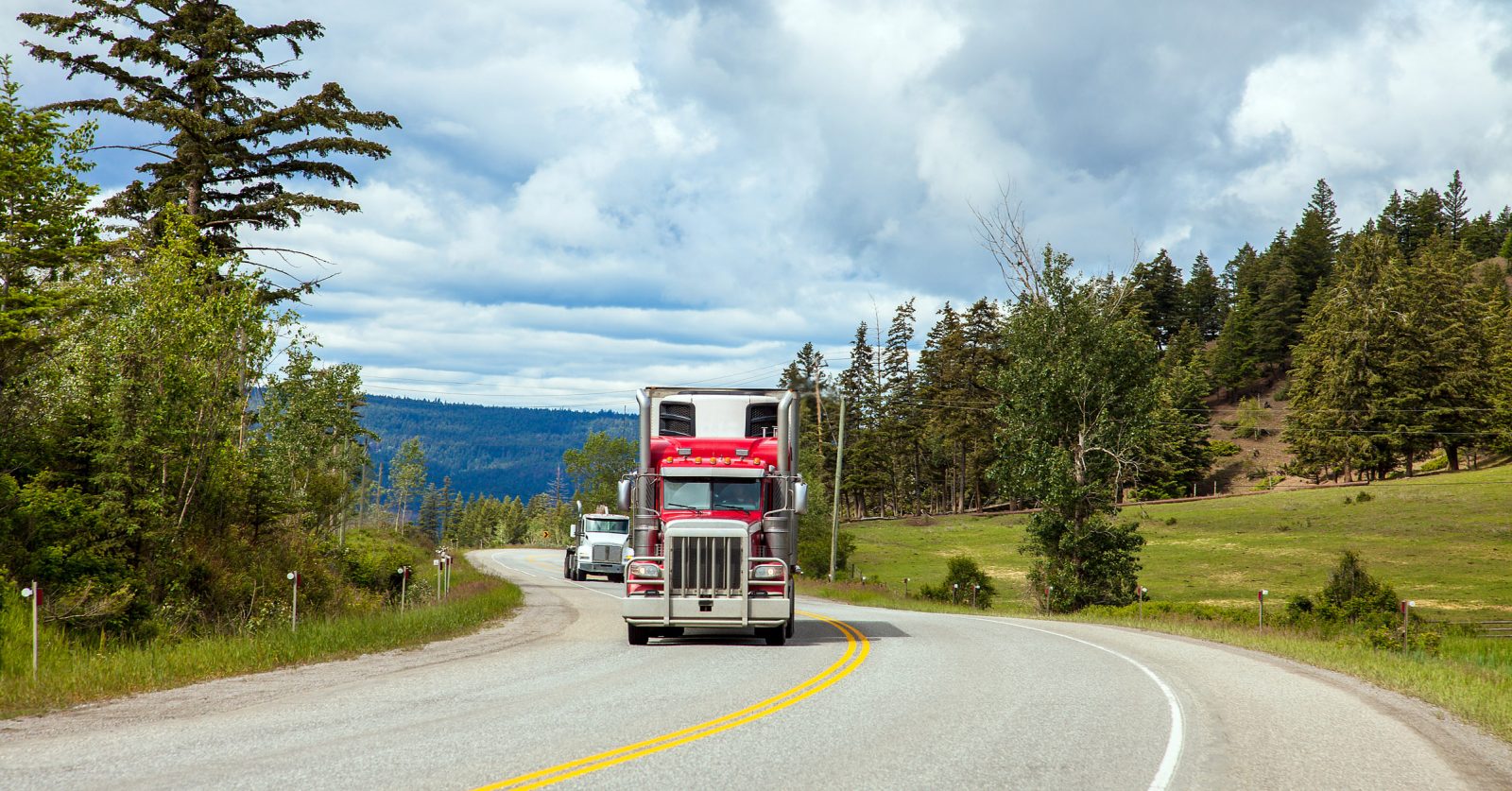 A red transport truck drives in front of a white transport truck on a bend in a road surrounded by trees.