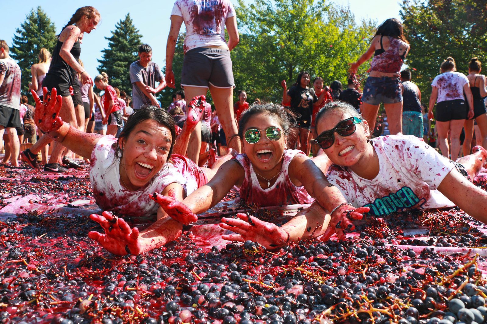 Three women smile while laying on their stomachs in a pile of stomped purple grapes.