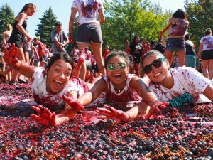 Three women smile while laying on their stomachs in a pile of stomped purple grapes.