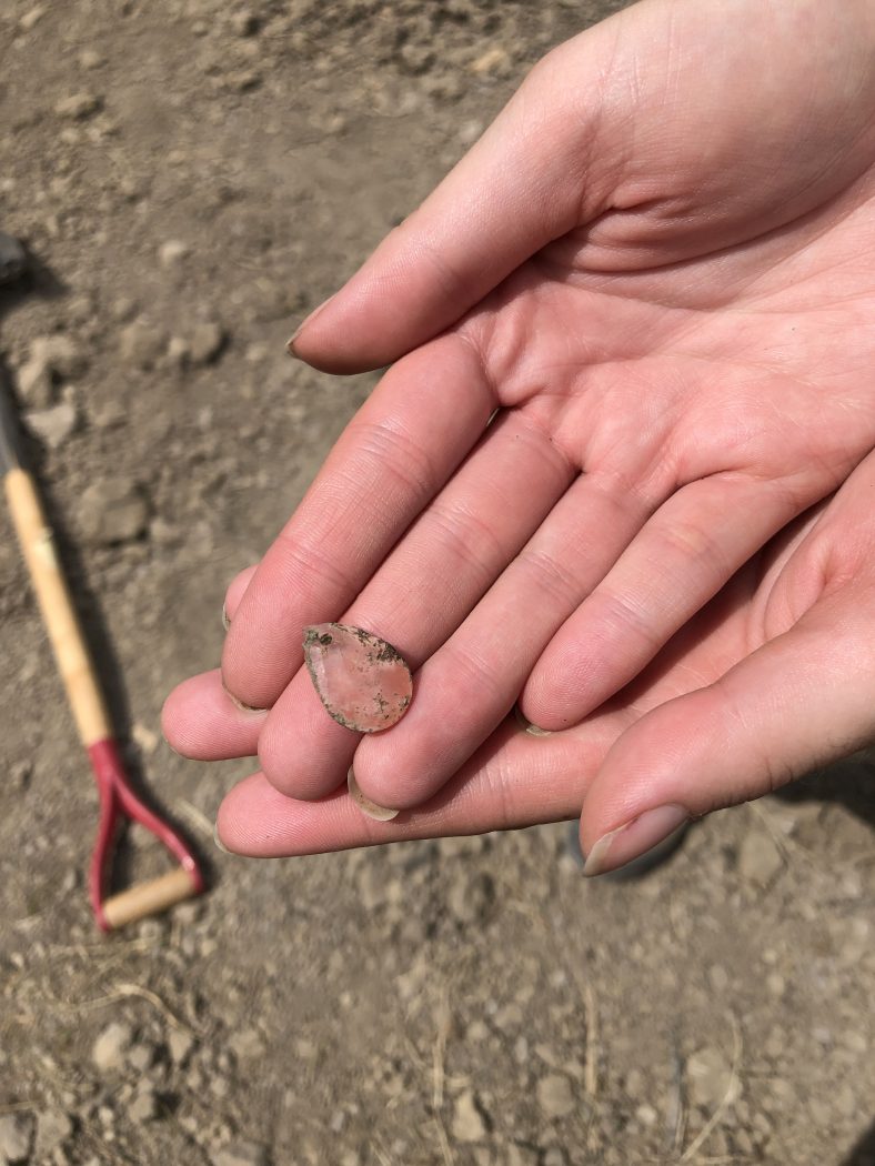 Two hands with palms facing up hold a single glass bead found at an archaeological dig.