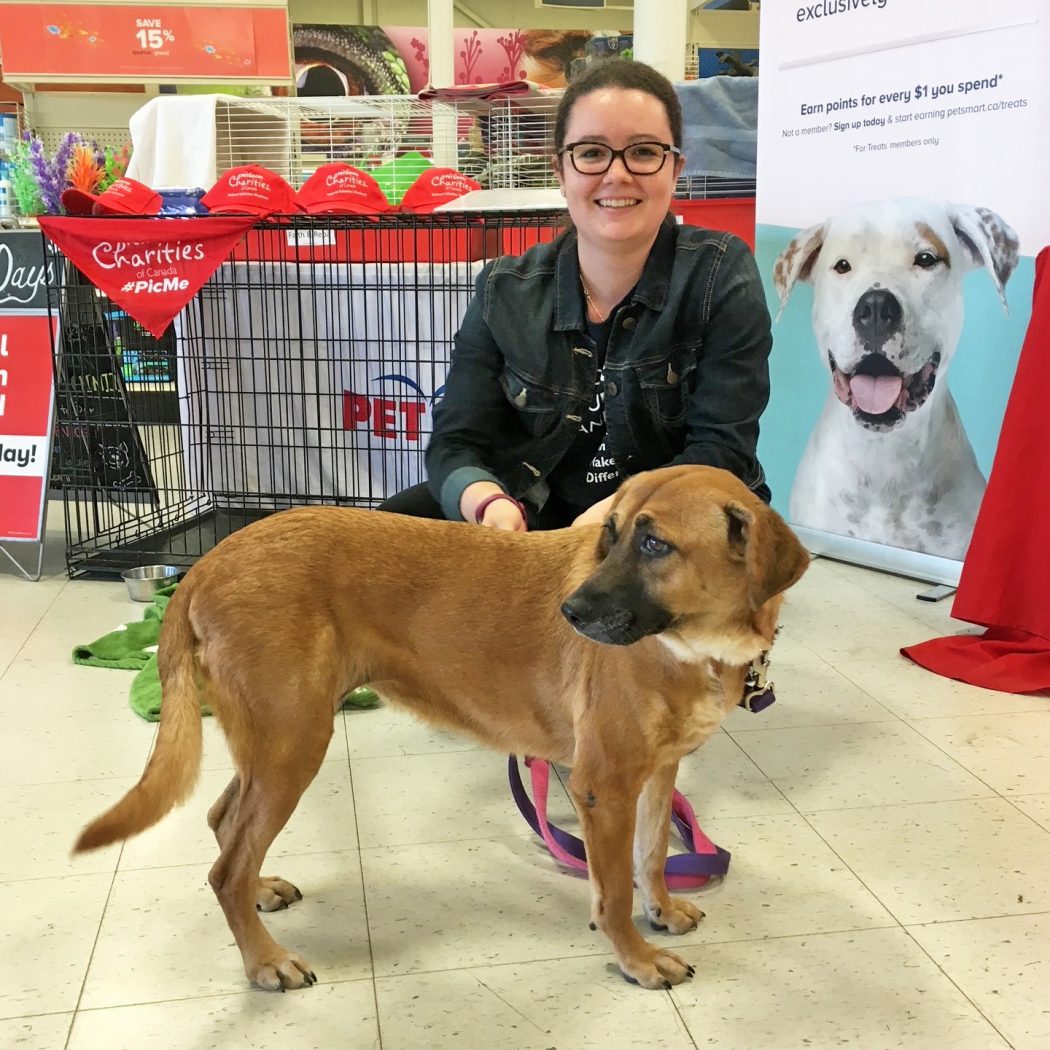 A woman bends down to pose for a photo with a dog at a humane society adoption event. Behind her are pet cages on display as well as a pullup banner advertising a Pet Smart membership.