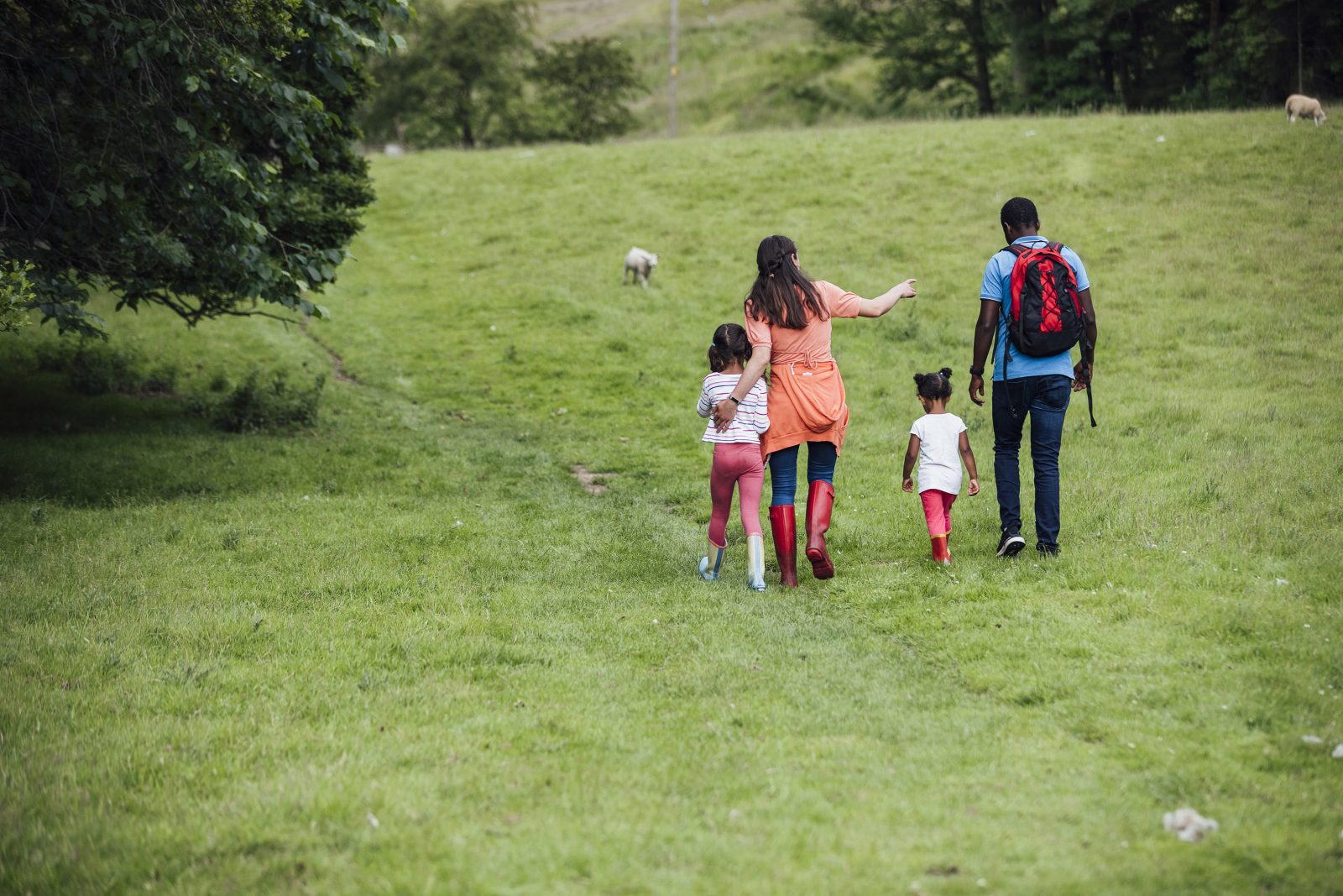 A rear view of a family, including two adults and two children, walking up a grassy hill.