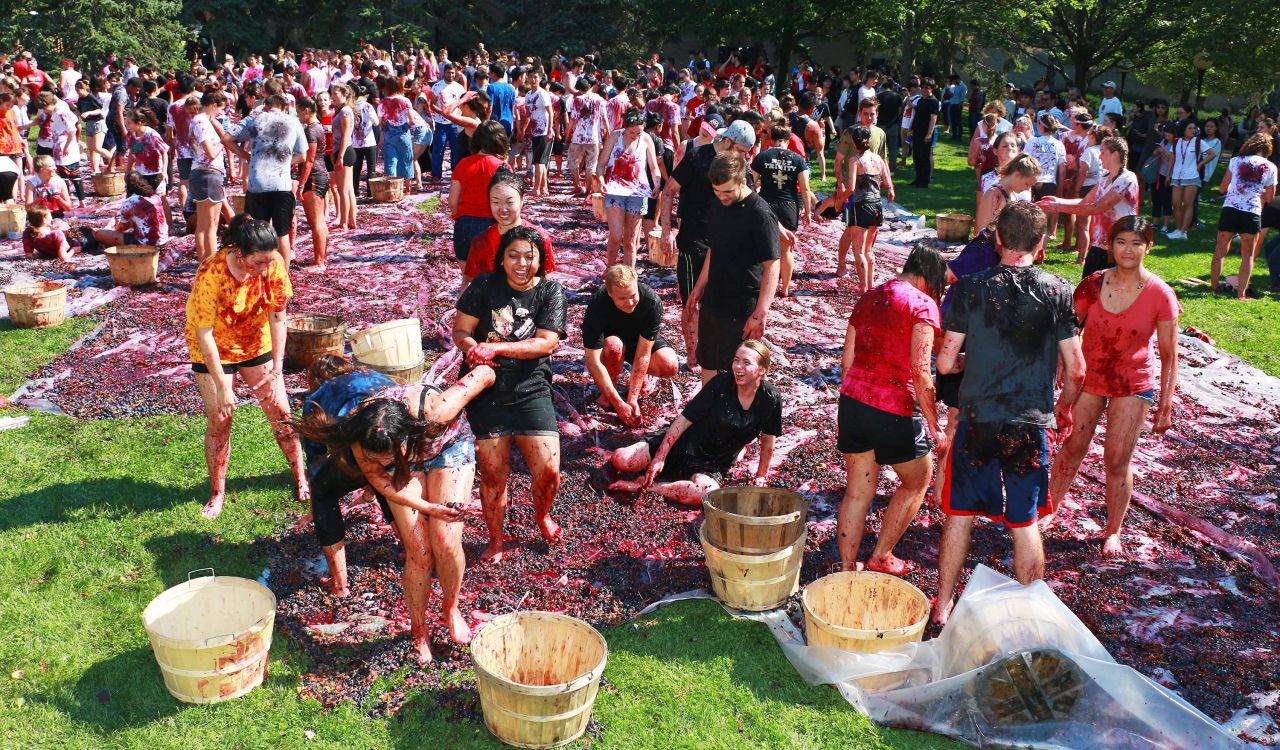 Hundreds of students throw grapes at each other on top of plastic tarps in an outdoor setting.