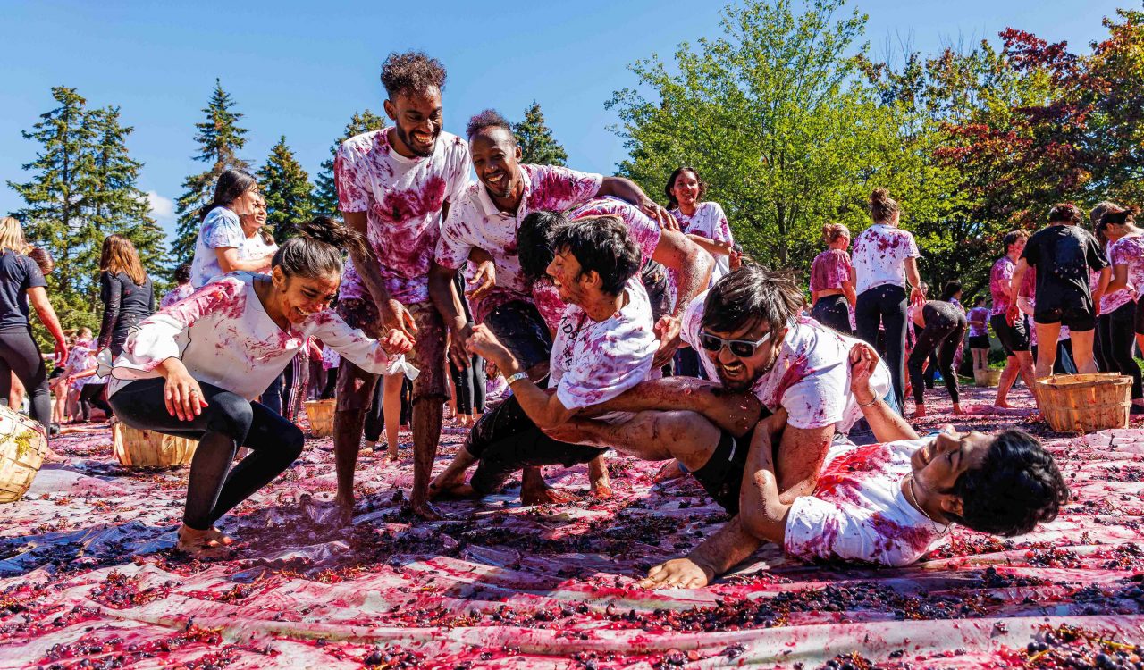 A group of people covered in grapes slide together on plastic.