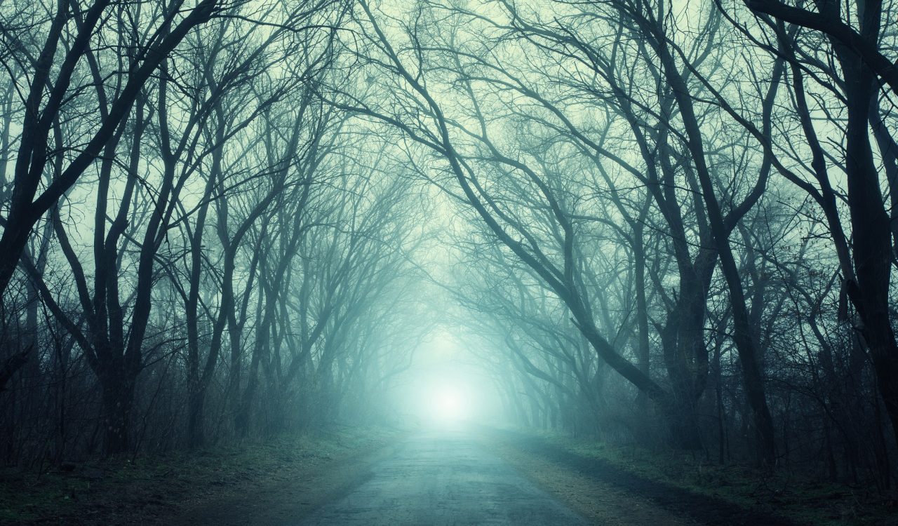 A dark, haunted forest with glowing blue light.