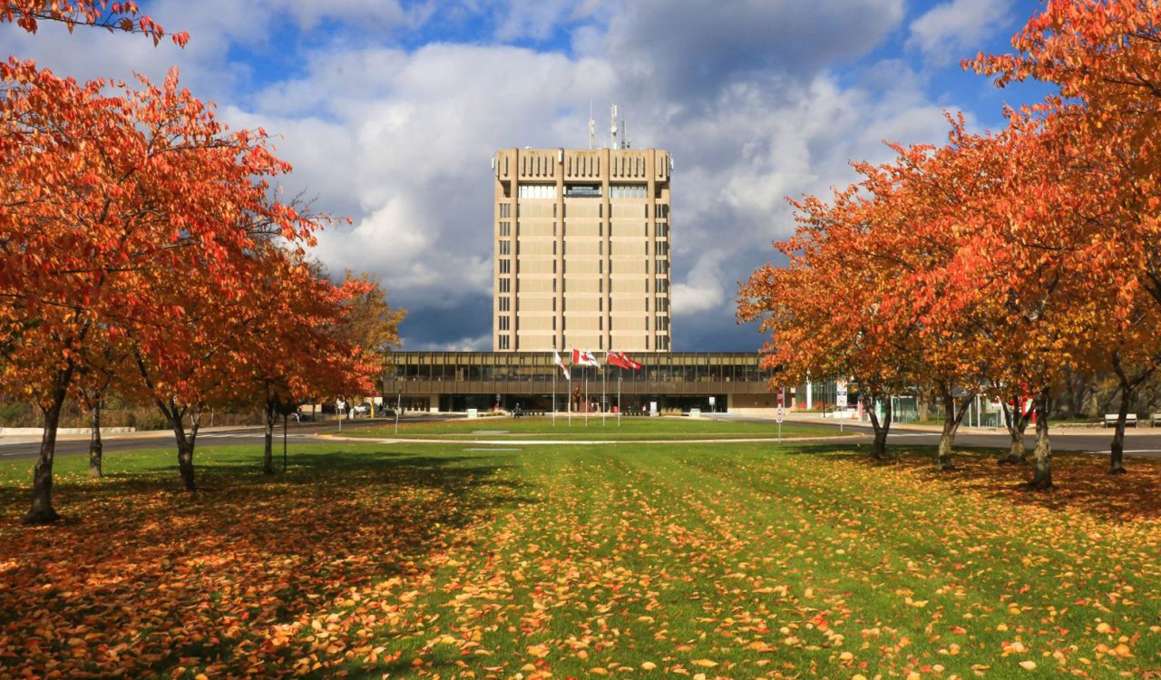 Two rows of bright orange autumnal-leaved Sakura cherry trees in the foreground lead one's eye to Brock University’s Arthur Schmon Tower and Rankin Family Pavilion buildings in the distance, both brightly lit by the afternoon sun. Fallen orange and yellow leaves blanket the green grass between the rows of trees. The saturated blue sky peaks through ominous grey clouds.