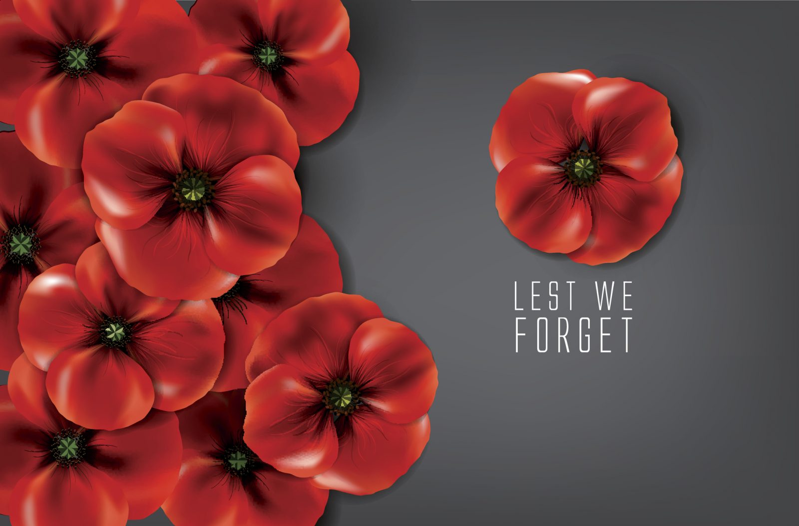 Illustrated red poppies on a grey background with the text "lest we forget" for Remembrance Day on November 11.