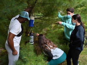 Four students examine a mosquito trap hanging from a pine tree.