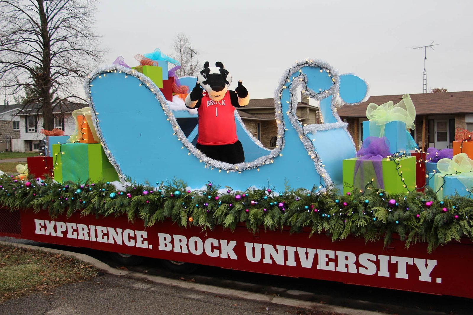 Brock University's mascot, Boomer the Badger, stands in a blue sleigh that sits atop a large holiday parade float. The sleigh is surrounded by oversized presents wrapped in colourful paper and bows.