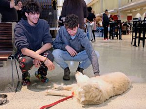 Two students crouch down to pet a Golden Retriever dog, who is laying on the floor.