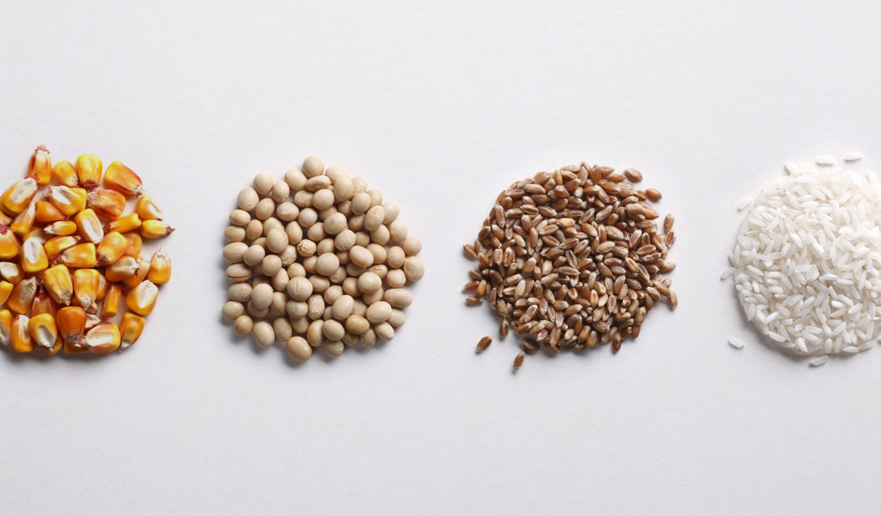 Four round piles of different seeds on a white surface.