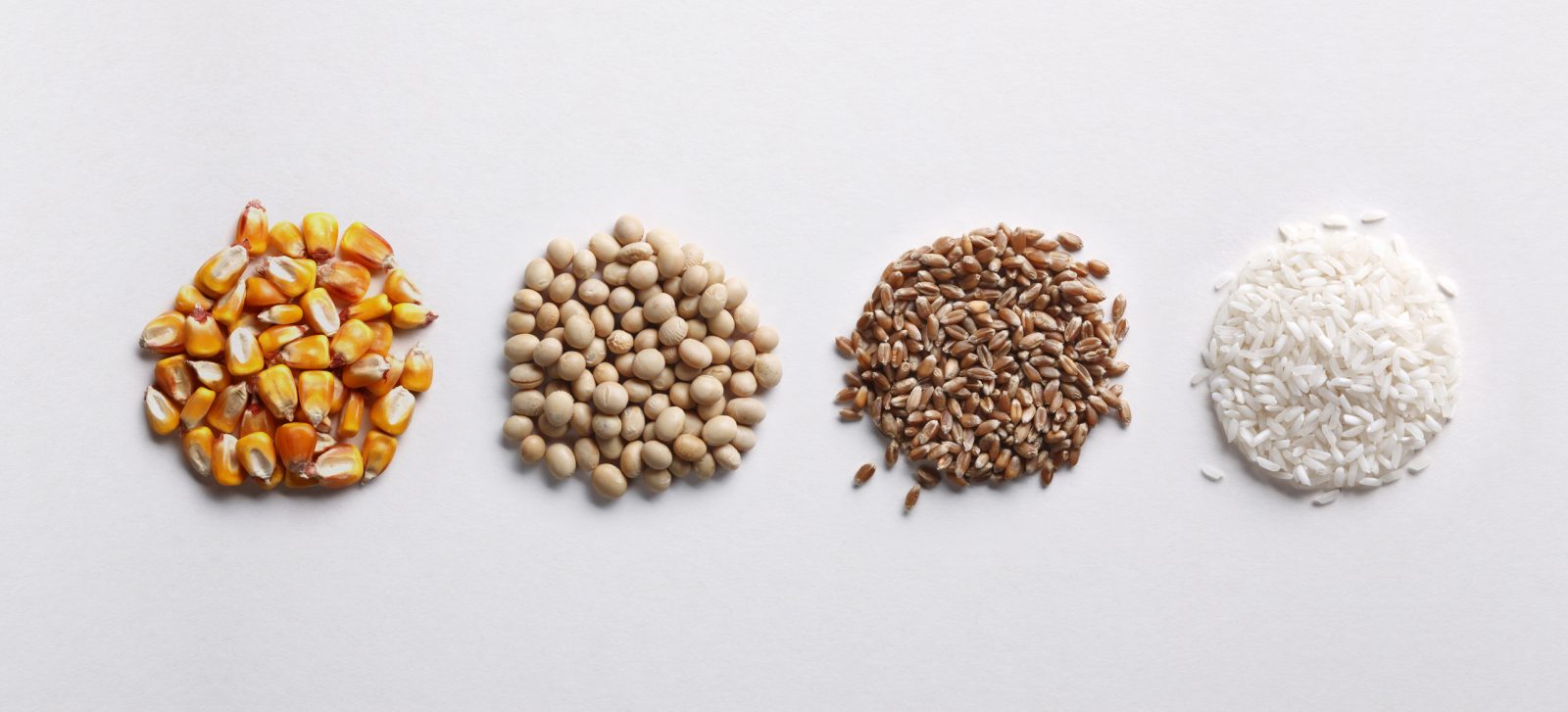Four round piles of different seeds on a white surface.