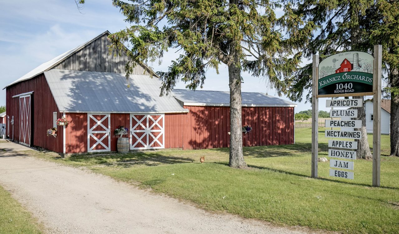A red barn with a large tree and signage indicating the farm stand’s offerings in front.