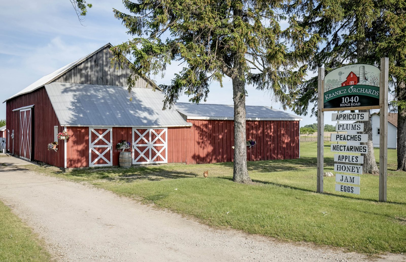 A red barn with a large tree and signage indicating the farm stand’s offerings in front.