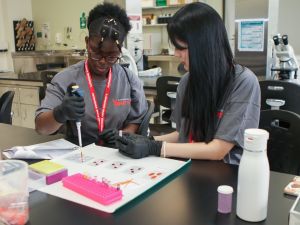 Two young women in a lab environment use a pipette to drop blood samples onto a dish for analysis.