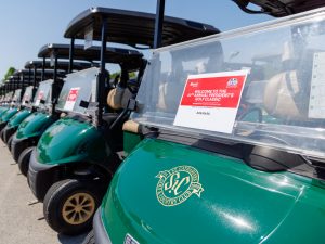 A row of parked golf carts with signs reading 