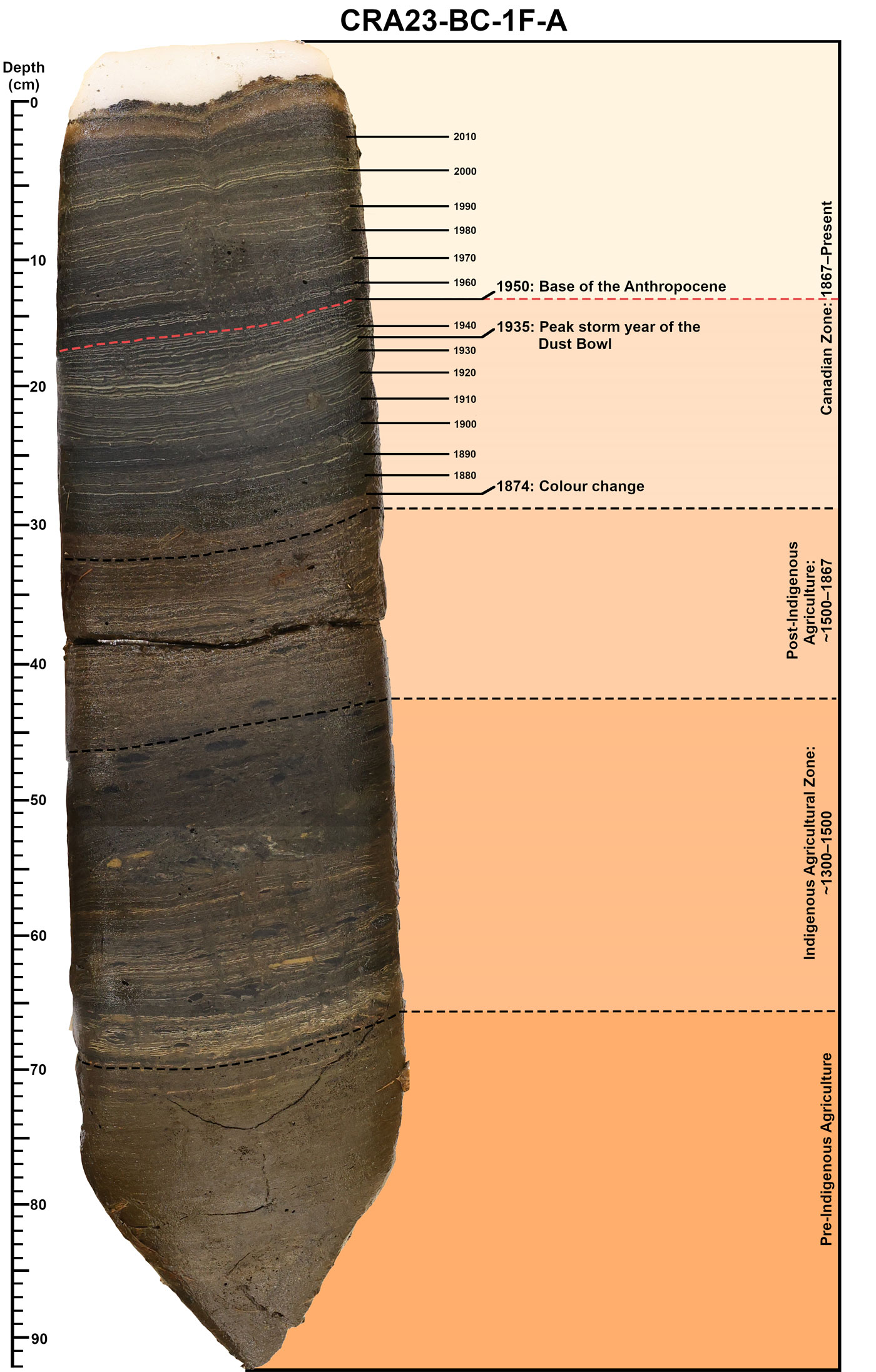 A core sample resembling a chocolate-brown, layered, pointed slab. On the left is a scale in centimeters measuring the length of the core. On the right are a listing of years pointing to various layers within the "Canadian Zone: 1967 - Present" section of the graph, which lists a total of five time periods.