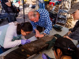 The freeze core, which resembles a dark-brown slab, is laid out on a table with Carleton University Master student Emily Shi; Brock University Professor of Earth Sciences Martin Head; then-Carleton undergraduate student Krysten Lafond (now at Queen's University); and Carleton University PhD student Anne Nguyen all bending down and chiseling the frozen mud off of the metal tube.