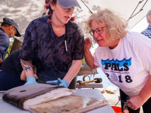 Upper body photo of Brock University Professor of Earth Sciences Francine McCarthy (right) bending over and closely looking at a chocolate-brown free core that then-Carleton undergraduate student Krysten Lafond (now at Queen's University), crouched over, is holding.