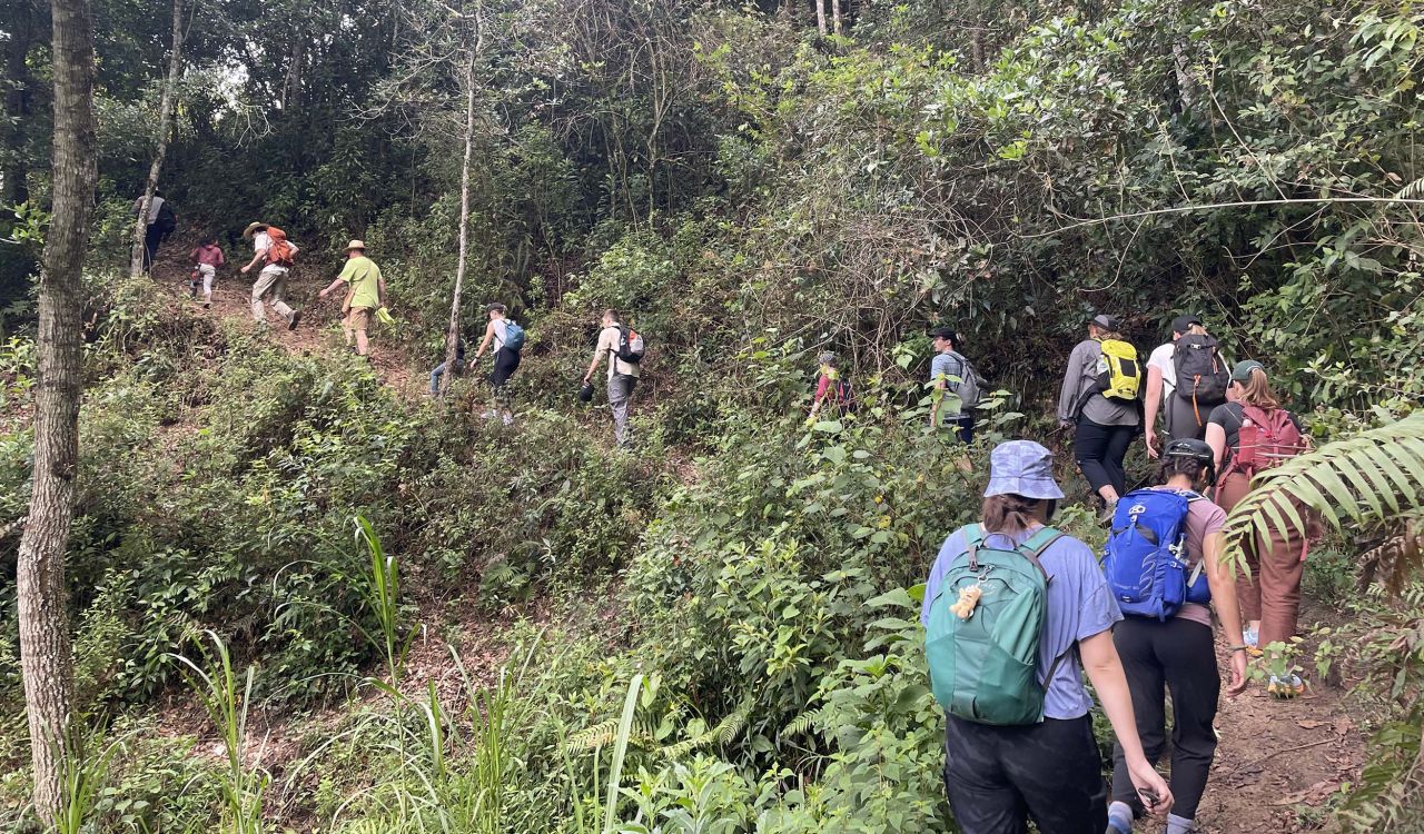 Students and researchers climb through rugged jungle terrain in Guatemala.