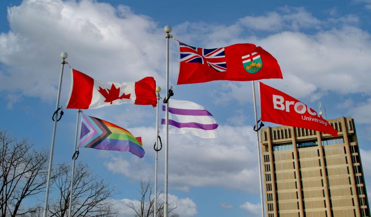 A range of flags fly against a blue sky background.