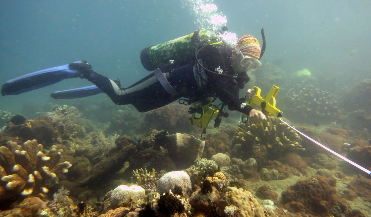 Norievill España, scuba dives to look at coral community structure and impacts of climate change under water.