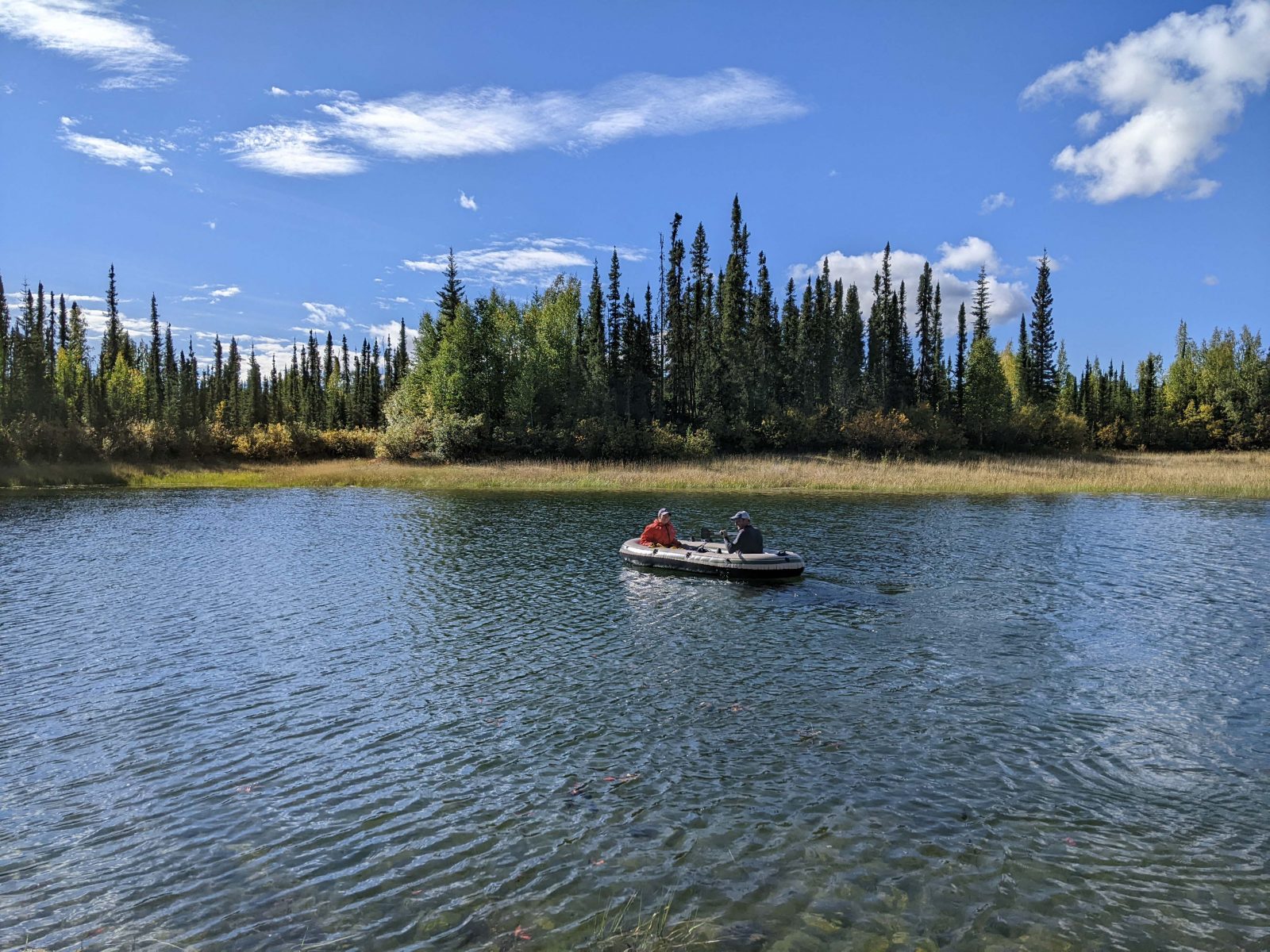 Long-distance view of a small dinghy in the middle of a blue lake surrounded by grasses and a conifer forest.