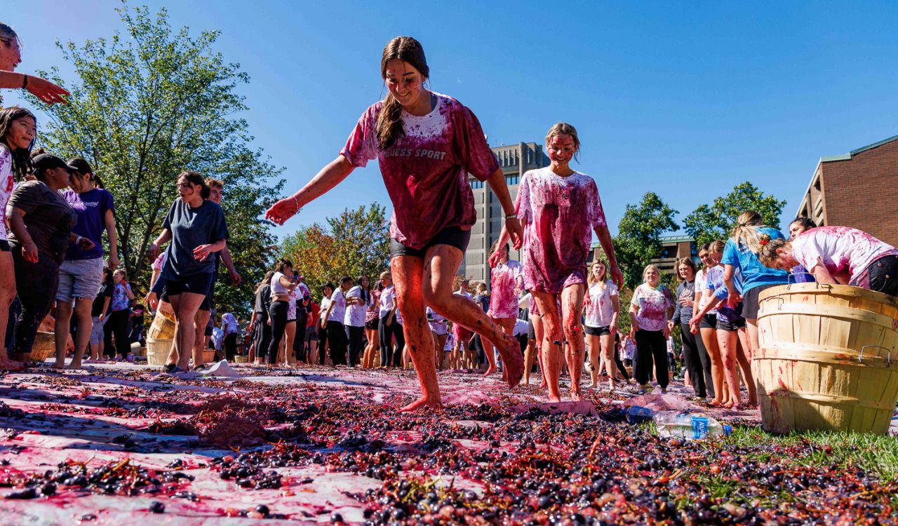 A group of people walk across a large sheet of plastic wrap covered in squished grapes. The people's clothes are covered in burgundy juice from the squished fruit.