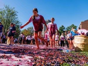 A group of people walk across a large sheet of plastic wrap covered in squished grapes. The people's clothes are covered in burgundy juice from the squished fruit.