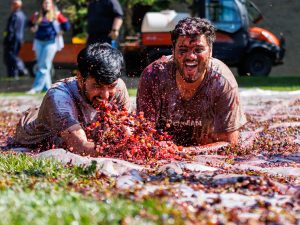 A pair of men slide through a bunch of grapes as they laugh.