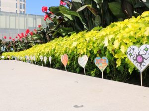 Paper hearts with individual messages sit next to a garden.
