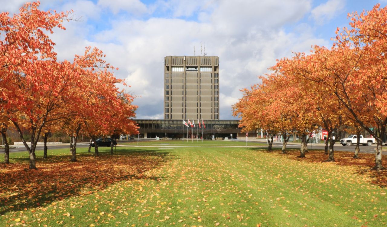 A building stands in the background with trees covered in orange leaves lining the foreground.