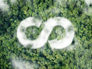 A circular economy symbol floats above an aerial view of a forest.