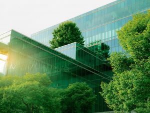 A glass office building with trees on and around it.