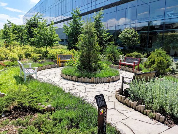 A garden space with walkways and benches.