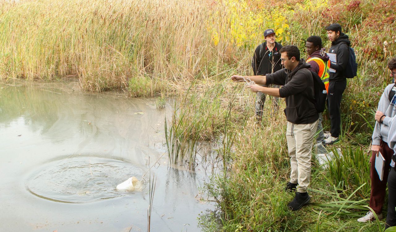 A Brock University student uses a rope attached to a bucket to collect a water sample from a shallow and still part of a lake while several students watch. Tall grasses grow along the shoreline.
