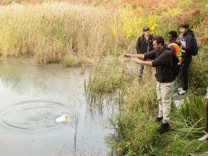 A Brock University student uses a rope attached to a bucket to collect a water sample from a shallow and still part of a lake while several students watch. Tall grasses grow along the shoreline.