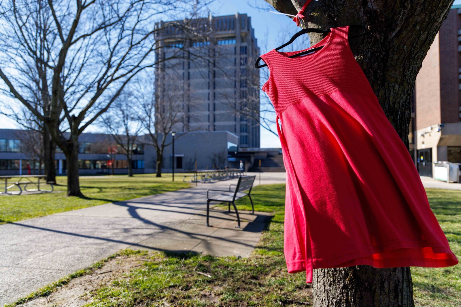 A red dress hangs from a tree with a large building in the background.