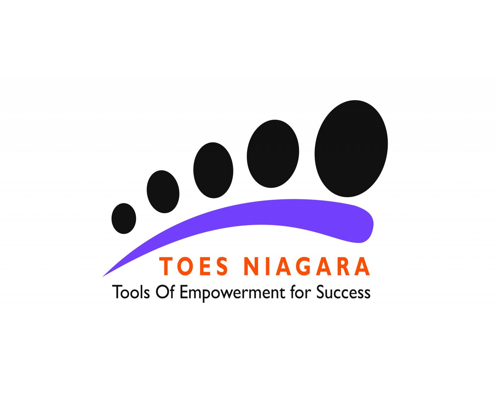 The TOES Niagara logo.