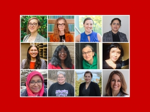 Twelve head-and-shoulders photos of women researchers at Brock University are arranged in three rows of four photos in each row framed by a red backdrop.