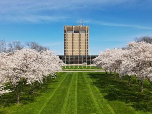 An aerial view of Brock's Schmon Tower with light pink cherry blossoms lining a green space in the foreground.