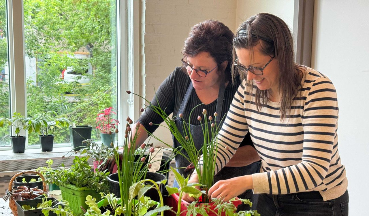 Two women stand in a well-lit studio at Brock University’s Marilyn I. Walker School of Fine and Performing Arts potting green vegetable seedlings into various colourful planters in front of a window with large trees in the background.