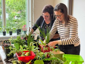 Two women stand in a well-lit studio at Brock University’s Marilyn I. Walker School of Fine and Performing Arts potting green vegetable seedlings into various colourful planters in front of a window with large trees in the background.