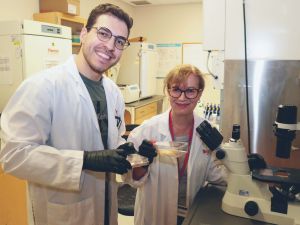 Close up of master’s student Matteo Nadile (left) and Professor of Health Sciences Evangelia Tsiani (right) smiles into the camera as they stand next to a microscope, with other lab machines and benches in the background. Each person is holding a dish filled with liquid and wearing black gloves.