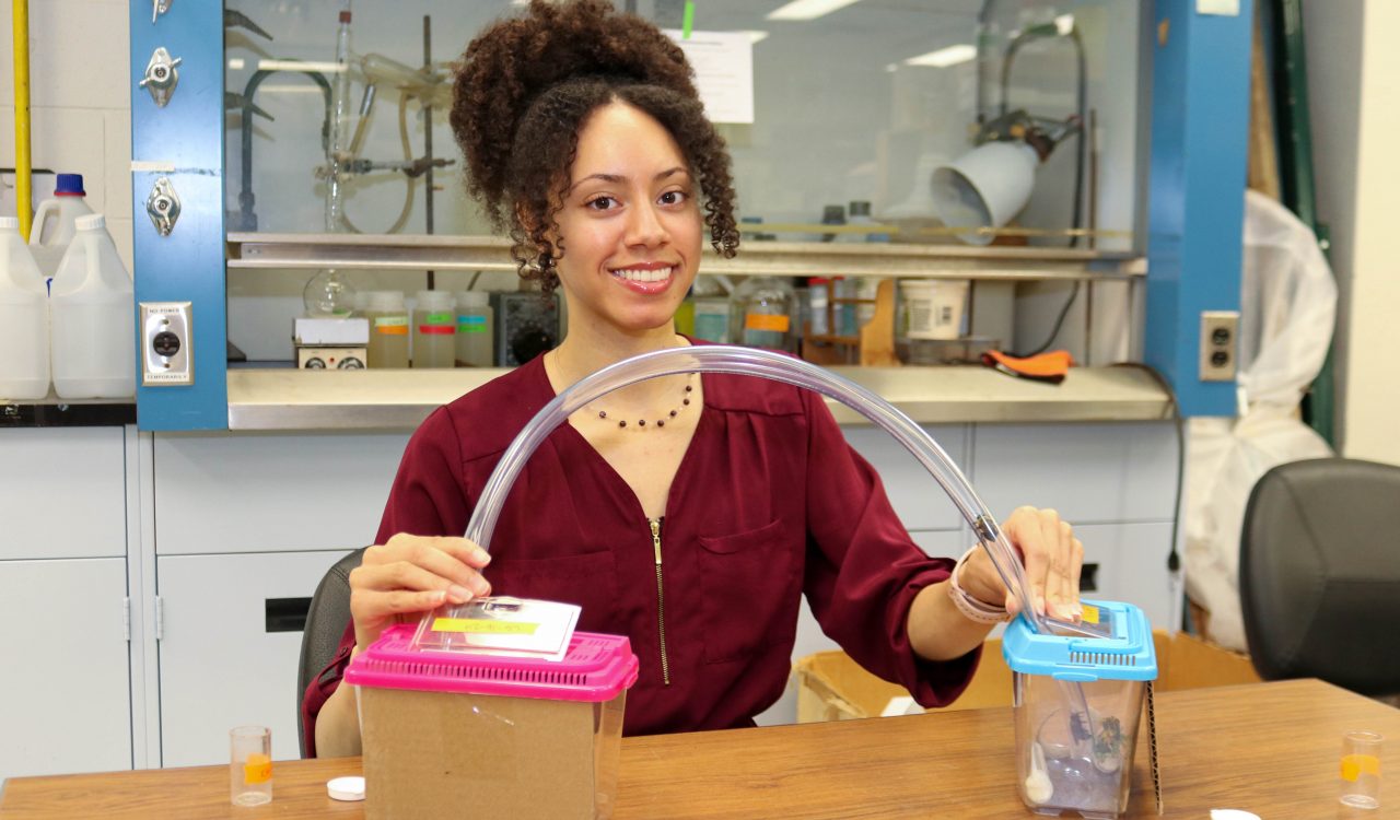 Close-up of PhD biological science student Lyllian Corbin sitting at a table in the lab, smiling into the camera. She's holding a plastic tube, with a bee inside, arching into two plastic containers with bees inside. The bee is travelling to one of the containers.