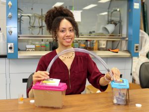 Close-up of PhD biological science student Lyllian Corbin sitting at a table in the lab, smiling into the camera. She's holding a plastic tube, with a bee inside, arching into two plastic containers with bees inside. The bee is travelling to one of the containers.