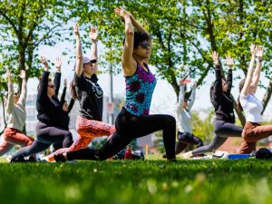 Brock University employees take part in an outdoor yoga session among cherry blossom trees and sunny weather.